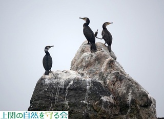 240406ŋxރE~E.jpg
