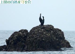 240406ŋxރE~EƃqE.jpg