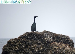 240406ŋxރqE.jpg