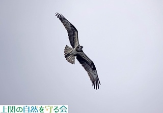 240406̏щ~TSQ.jpg