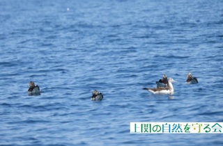 240414II~YiMh2.jpg