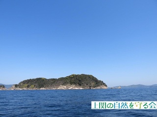 240414Fa.jpg