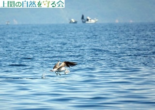 240518|܂ĔїE~lRP.jpg