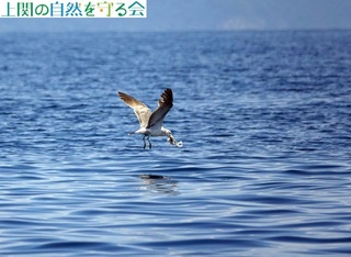 240518|܂ĔїE~lRQ.jpg