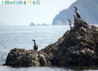 240518̏ŋxރE4.jpg