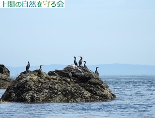 240518̏ŋxރEނQ.jpg