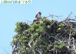 240518̏Ŏ͂x~TSQ.jpg
