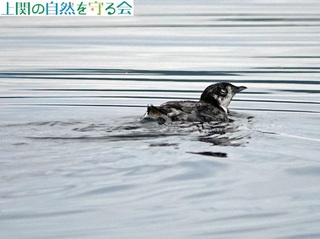 240629JقQ.jpg