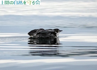 240629J̉HAʐ^A.jpg
