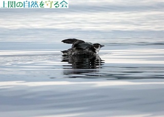 240629J̉HAʐ^B.jpg