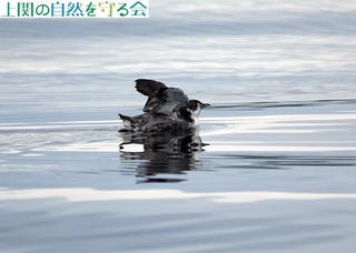 240629J̉HAʐ^C.jpg