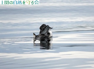 240629J̉HAʐ^D.jpg