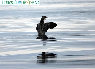 240629J̉HAʐ^E.jpg