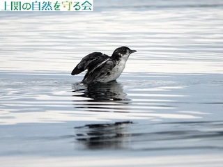 240629J̉HAʐ^H.jpg