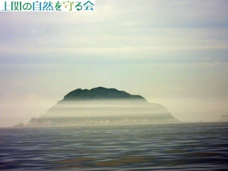 240629Fa̒ʂI.jpg