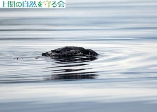 240629Ɋ˂ޒÕJ.jpg