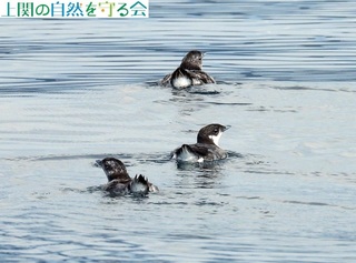 240720J̉ƑQHQ.jpg