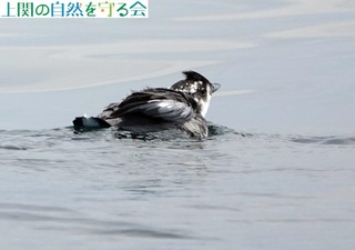 240720HcJ-4.jpg