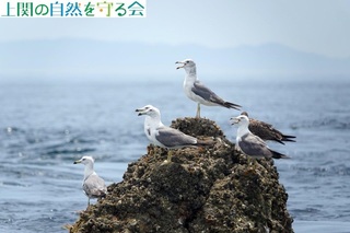 240720ŌJĕMHE~lRP.jpg