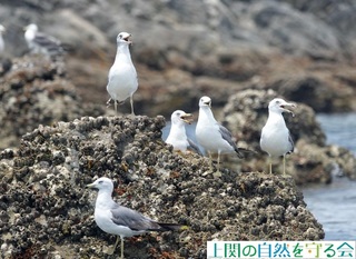 240720ŌJĕMHE~lRQ.jpg