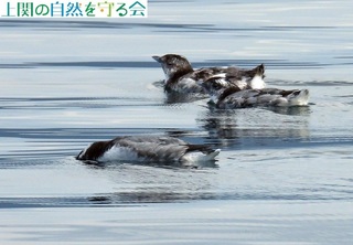 240720`ރJ.jpg