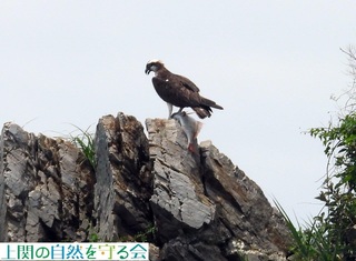 240720͂ł~TSP.jpg