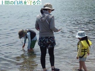 240721ikimono5.jpg