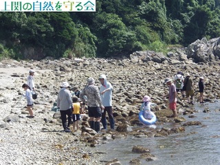 240721ikimono6.jpg