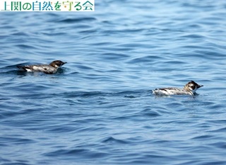 240803J̃yAQ.jpg