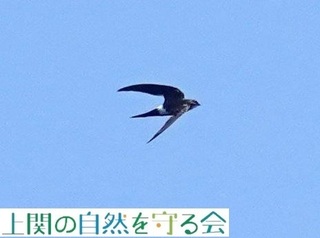 240803̎щA}co.jpg