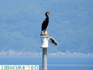 240803ɚbJE.jpg