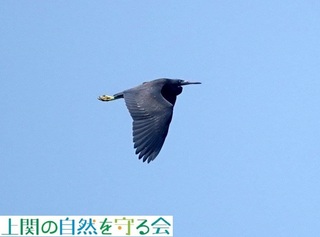 240803CщNTMQ.jpg