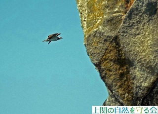 240811̎щ~TS.jpg