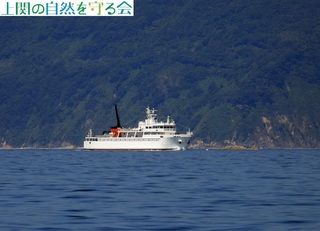 240811KD哇.jpg