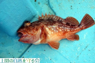 240908[XꂽJTS̒.jpg