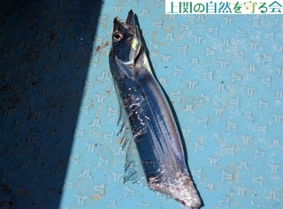 240908HɂH^`EI.jpg