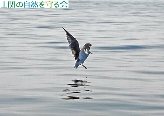 240908H̃E~lRP.jpg