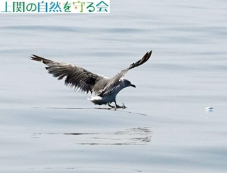 240908H̃E~lRQ.jpg