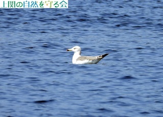 240908ċxރE~lR.jpg