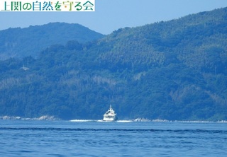 240908`֌D킢.jpg