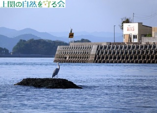 241104AITM.jpg