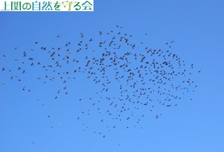 241104qh̑QėQ.jpg