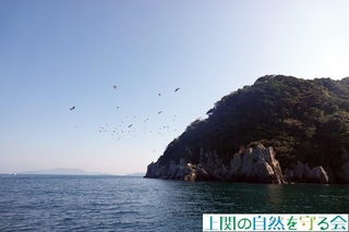 241104qȟQɔэ.jpg