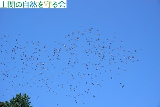 241104qȟQт̒֔э.jpg