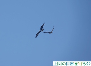 241104~TSQH.jpg