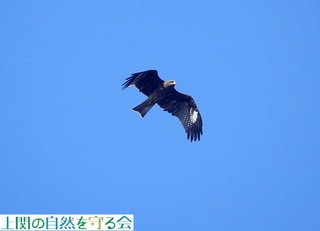 241104̏𕑂gr.jpg