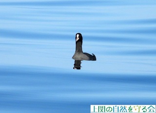241104CŃIIoɏoIP.jpg