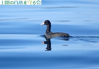241104CŃIIoɏoISS.jpg