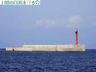241104hgŋxރJ.jpg