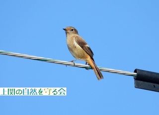 241104dɎ~܂WEr^L.jpg